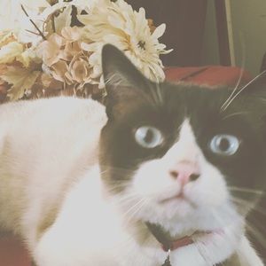 Meet your Posher, Ludwika